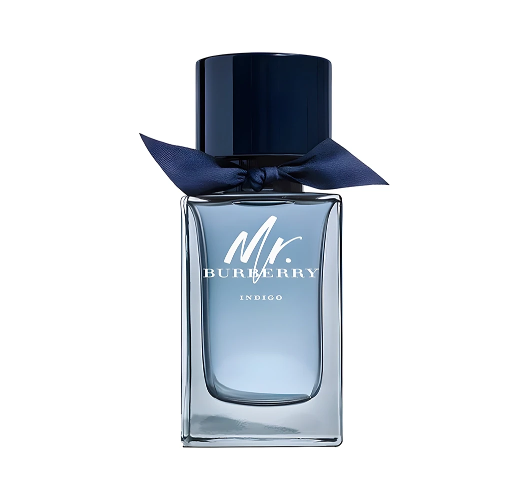 عطر بربري مستر بربري انديجو او دو تواليت 100مل